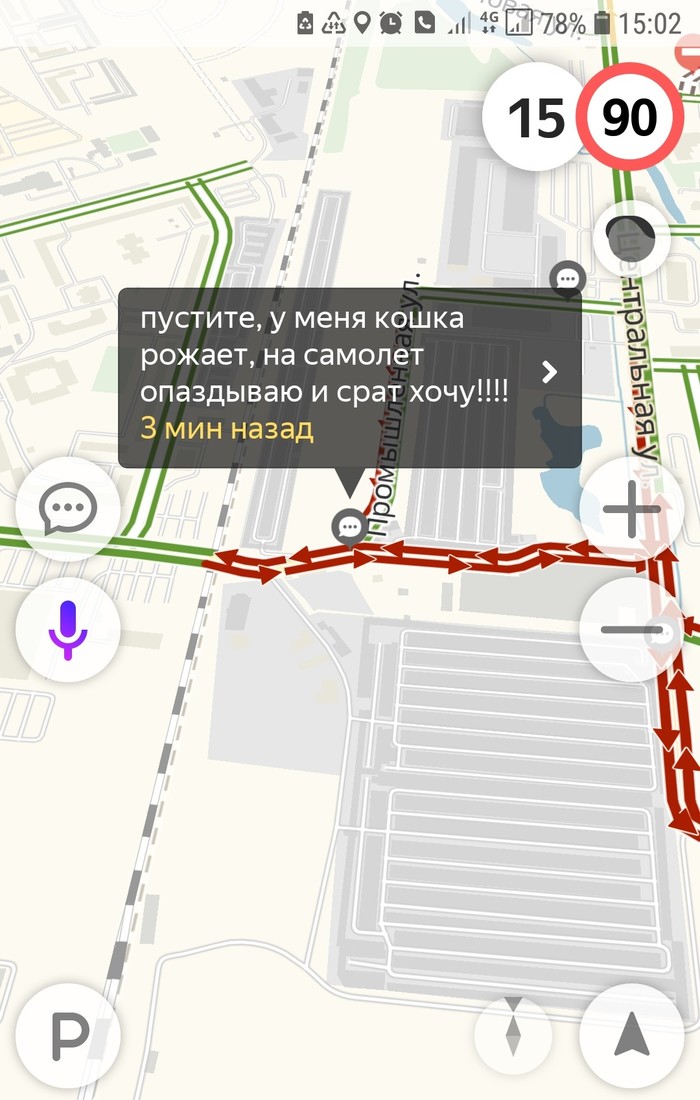 The cat shits and gives birth on the plane - My, Yandex Navigator, Sret, Yandex Traffic, Kudrovo, Saint Petersburg