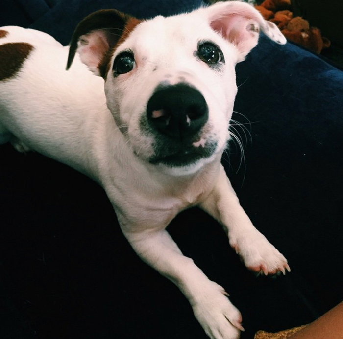 Что ему можно простить?