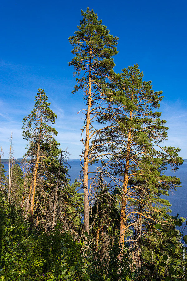 Journey to the Basurman region. - My, Bike trip, Udmurtia, Travels, Coat of arms, The photo, Votkinsk, Longpost