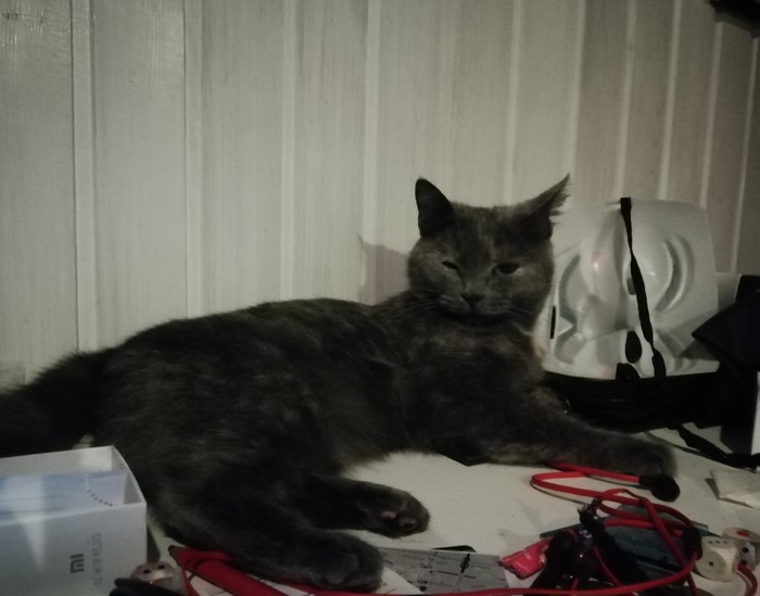 Когда проснулся и не понимаешь где ты и кто