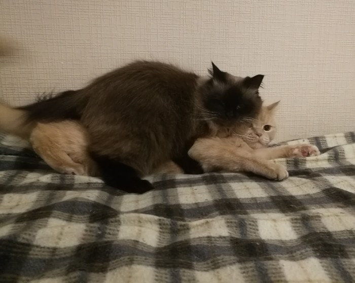 Обычное дело