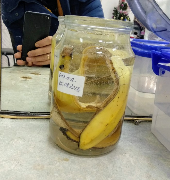 Can I have some more mushrooms? - Mushrooms, Banana peel, Glass, Jar, Stubbornness