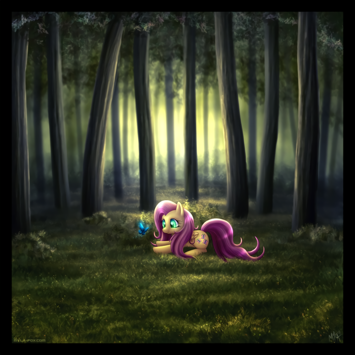 []   My Little Pony, Fluttershy, , , 