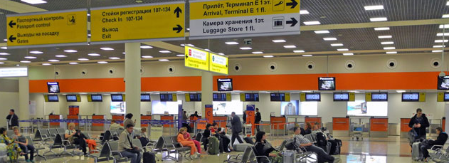 Divorce at Sheremetyevo - My, Sheremetyevo, Video, Longpost, Divorce for money, Beggars