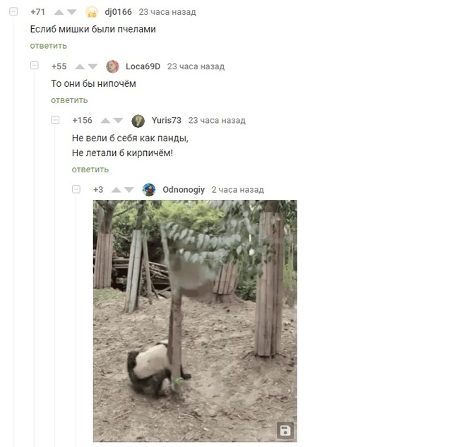 Pandas - Comments, Panda, Screenshot, Comments on Peekaboo