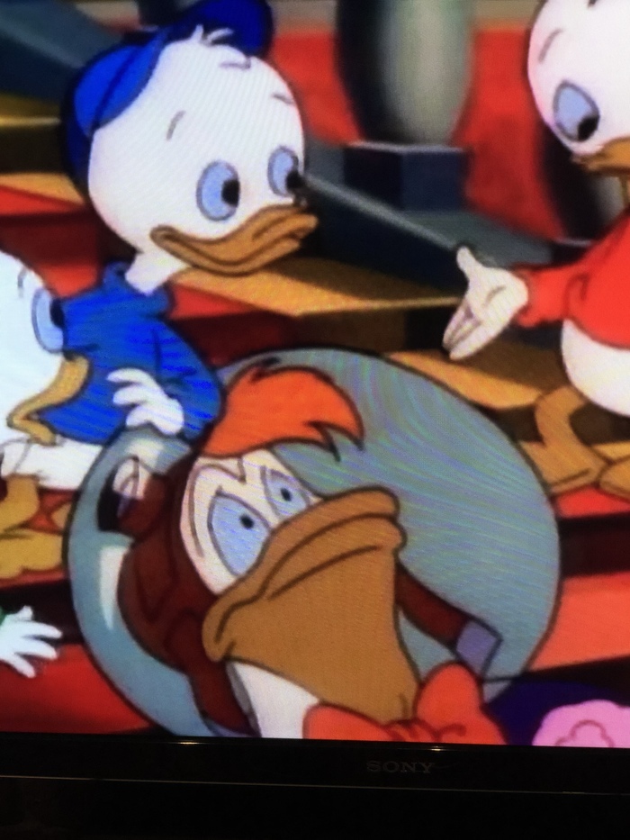 Масленица прошла, а блинов не поел