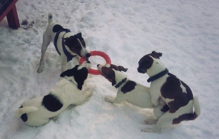 Когда работа не отпускает