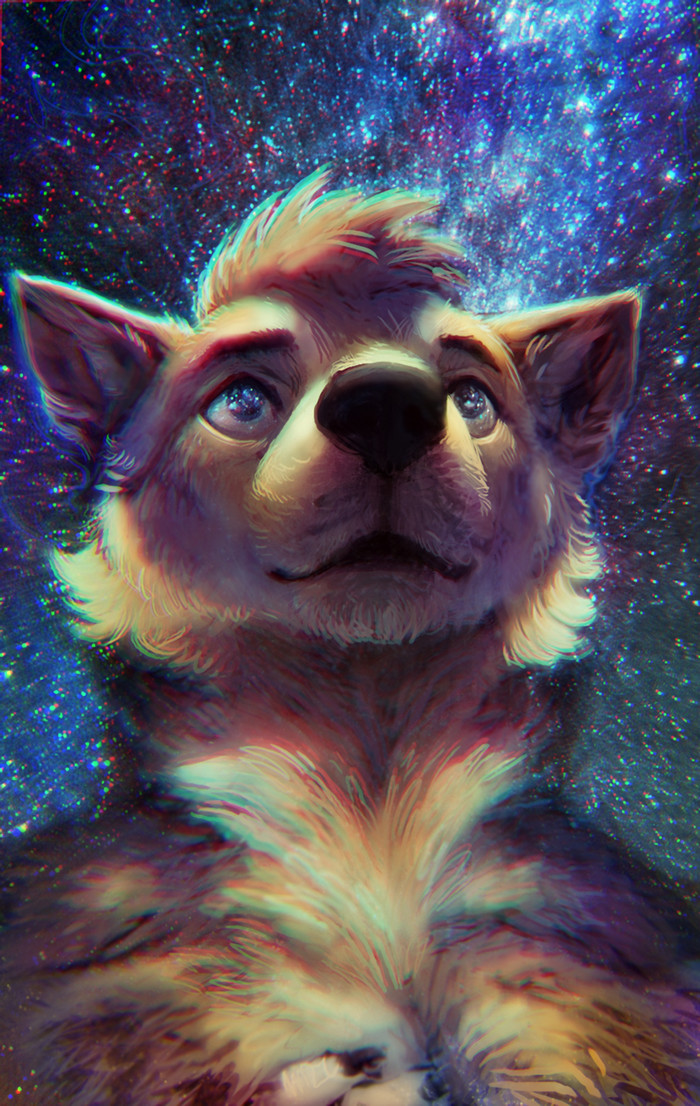 Gazing Skyward - Фурри, Furry Art, Антро, Furry Canine, Furry wolf, Ночь, Звездное небо, Bastek