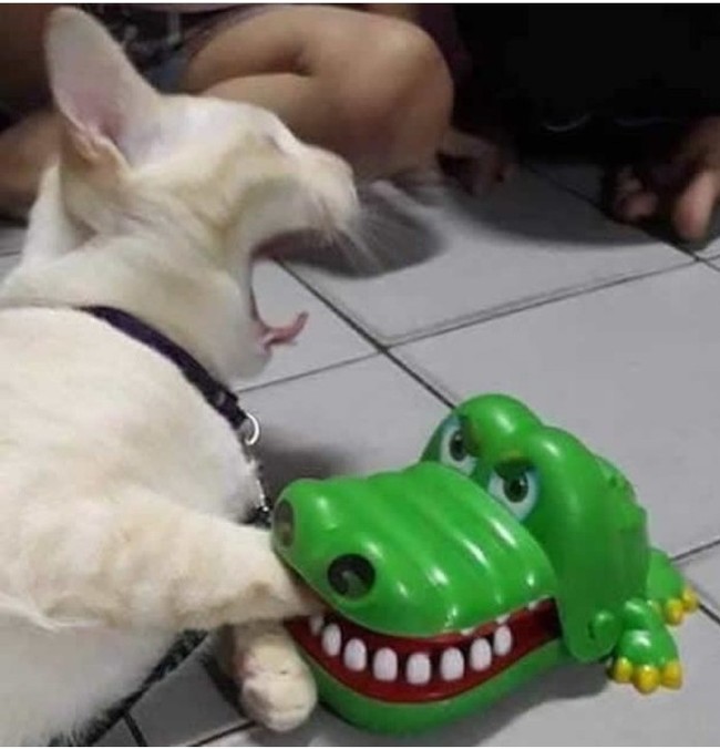 �������� ���� ������ *������*