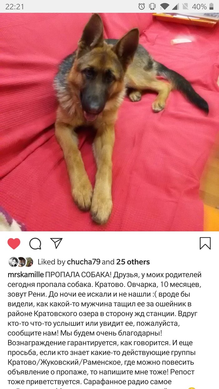 Lost dog in Kratovo! - My, Zhukovsky, Kratovo, Ramenskoe, No rating, Dog, Help me find, The dog is missing