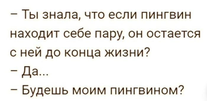 шутка про светящиеся презервативы. изображение счастья. врачи сказали что у меня опухоль текст. влюбленная парочка. вышел месяц из тумана вынул ножик из кармана считалка.