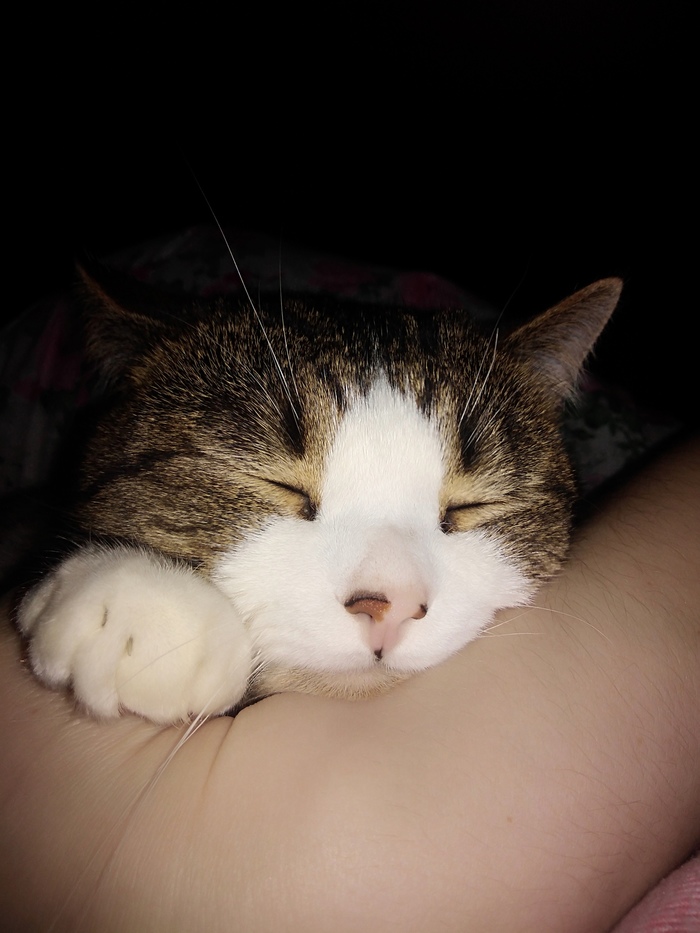 ��� ��� ��� ����� �� ����.