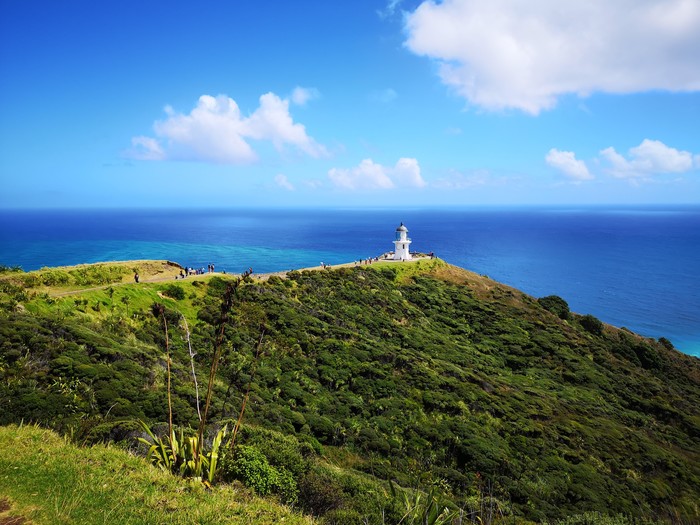 Somewhere in New Zealand #19 - The hills, Lighthouse, wildlife, Greenery, New Zealand, The photo, Ocean, beauty of nature, My