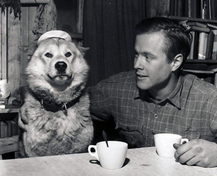 Polar explorer with a sled dog. - Dog, Historical photo, The photo, Polar explorers, Antarctic Expedition, friendship, Good boy