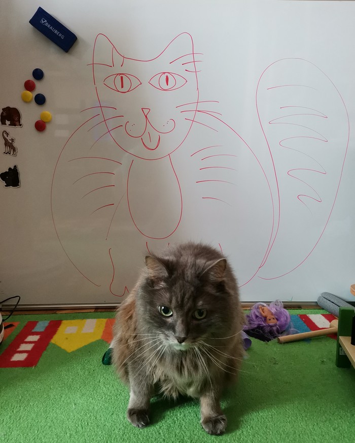 Our 15 year old cat ordered his portrait, but for some reason he is not happy with the result - My, cat, Portrait, Old man, Pets