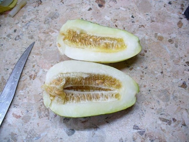 Cucumber - two in one. - Garden, School of Life, Plant growing, Longpost, Melon, Cucumbers, , Hybrid, Unusual