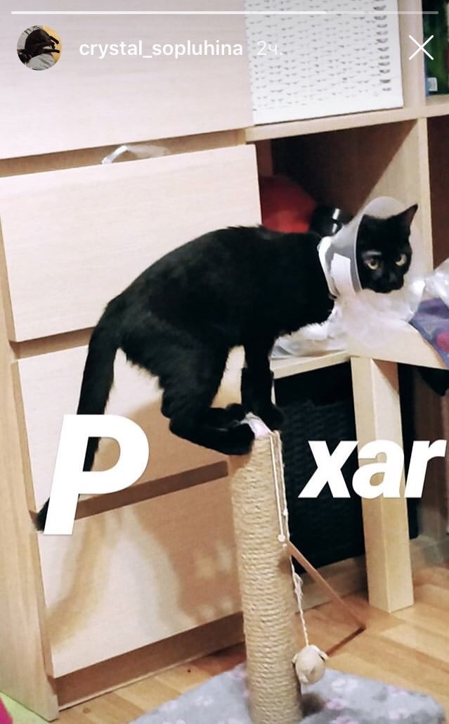 Pixar. - My, Scratching post, Pixar, cat