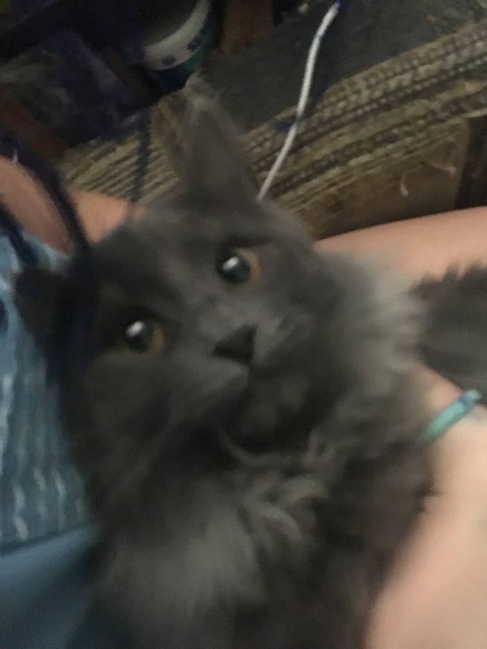 �� � �� ����� ������?