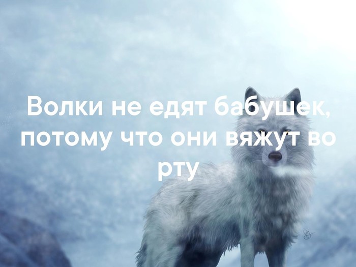   ))