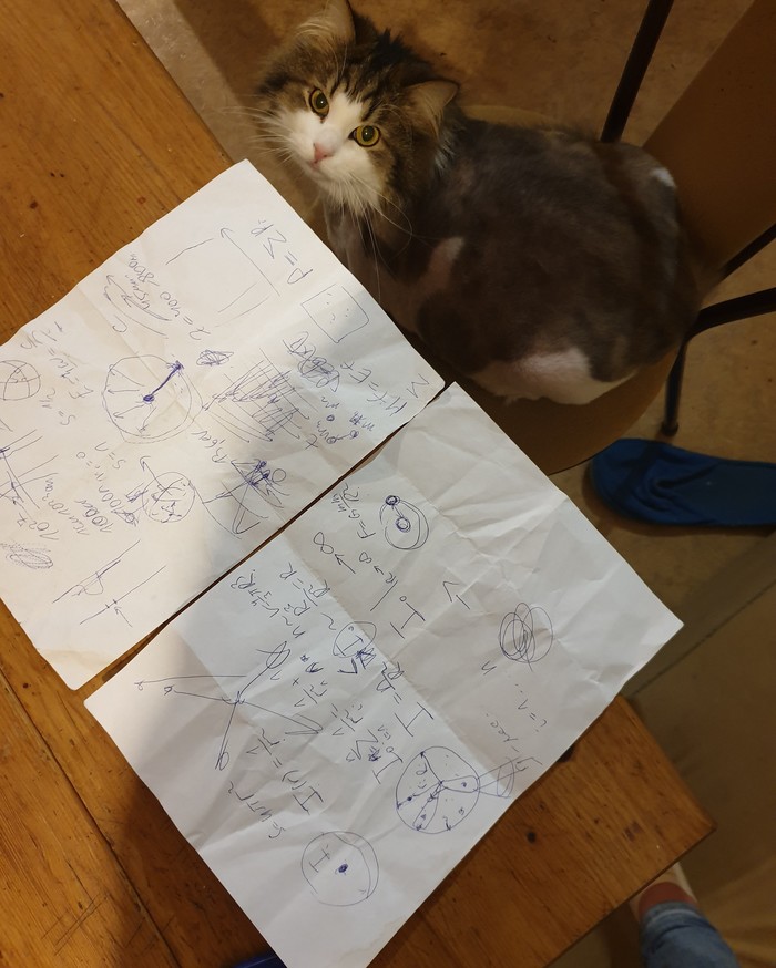 How to easily and simply explain to a cat why the universe is expanding - My, cat, Physics