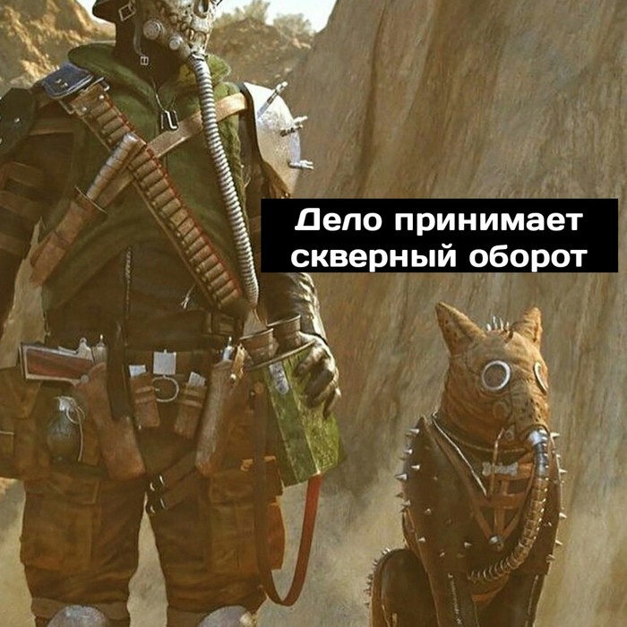   )) ˸ , , 