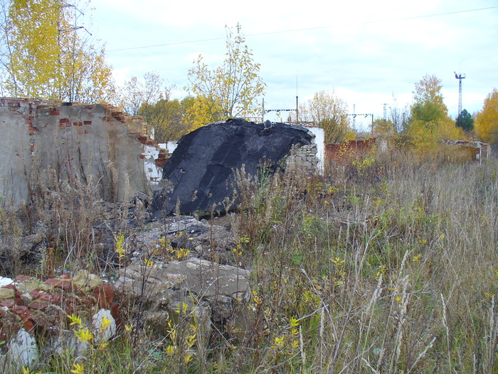 Гигантская крыса