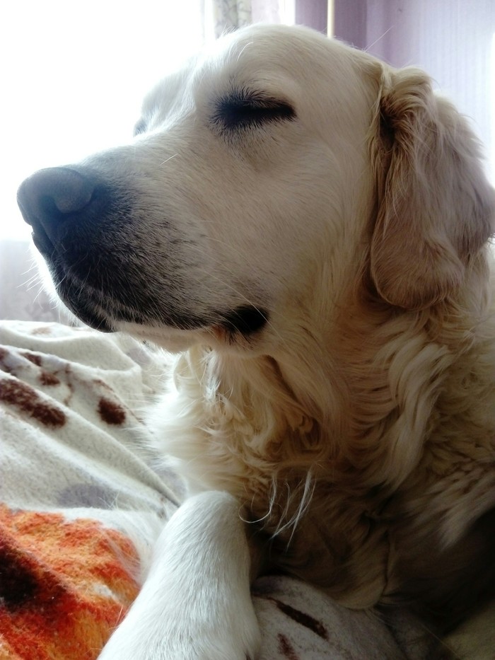 �������� ������.