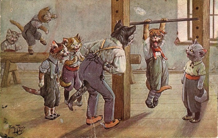 Немецкие ученые котики Кот, Картинки, Германия, Школа, Длиннопост