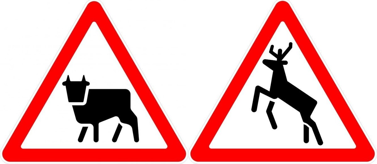 Дикий 1 27. Знак 1.27. Дикие животные. Предупреждающие знаки Дикие животные. Дорожный знак Дикие животные. Смешные предупреждающие знаки.