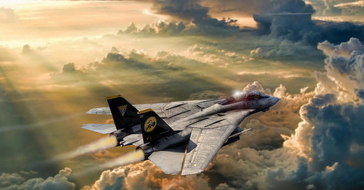 Истребители без рекламы. F 14 истребитель. F-14a Tomcat. F14 Tomcat Art. F-14 Томкэт Art.