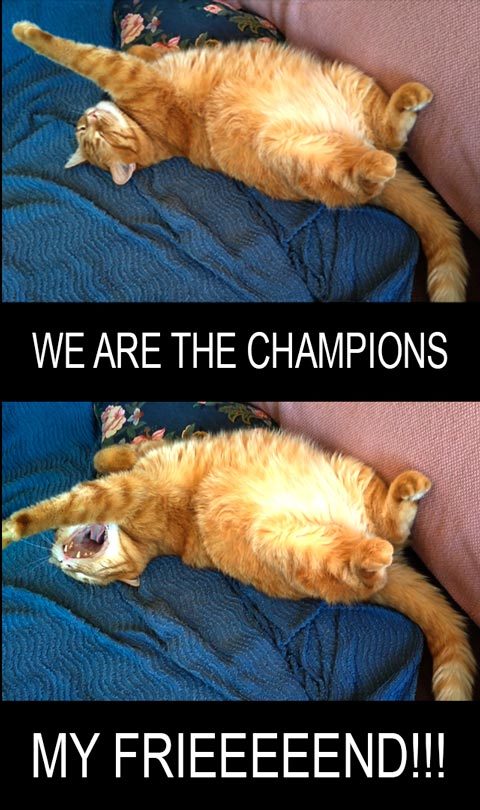We are the champions