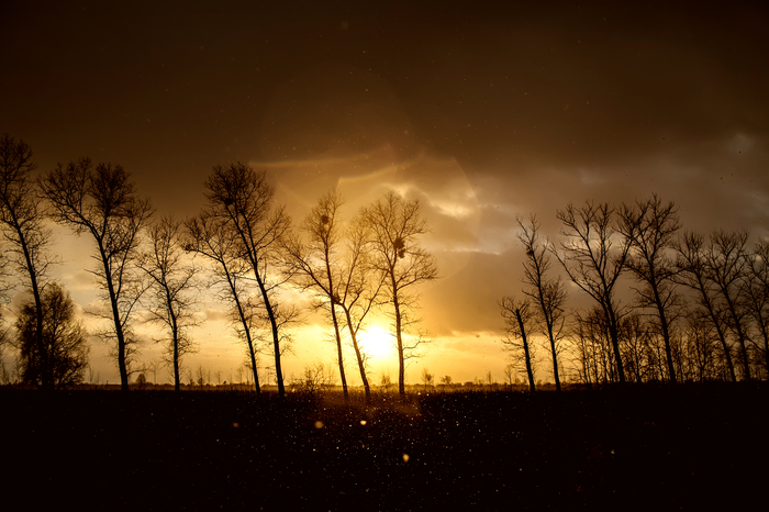 And the snow is falling in the evening... - My, Snow, Nature, Landscape, Sunset, Canon