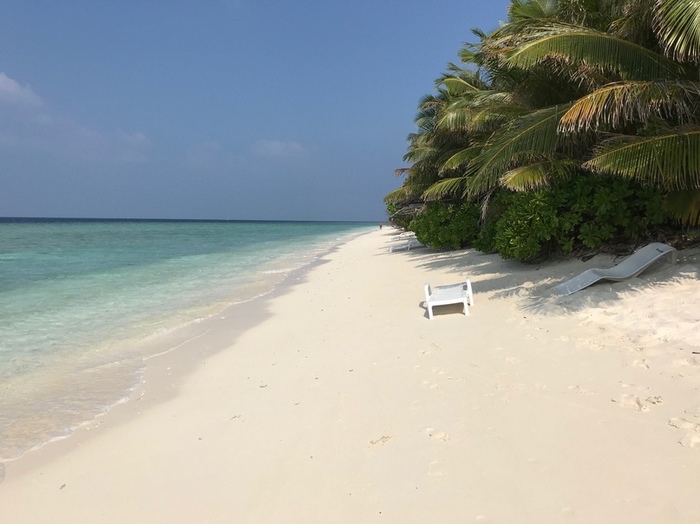 Мальдивы - бюджет путешествия и немного об островах на которых мы побывали (часть#1) Filrussia, Мальдивы, Путешествия, Длиннопост