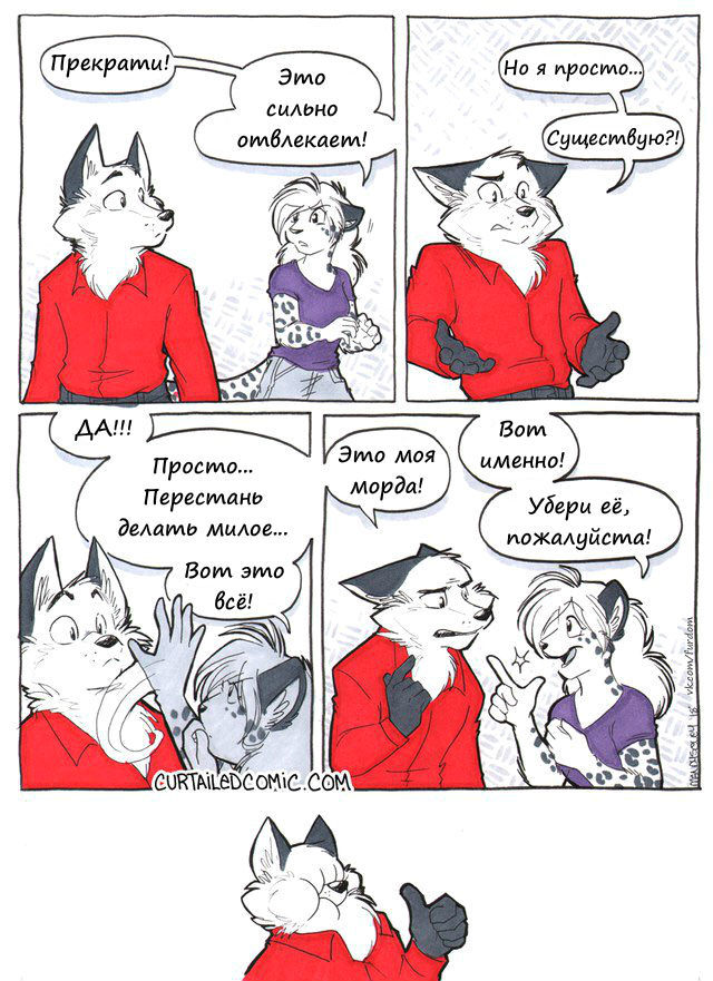 Просто оставлю это здесь - Фурри, Furry Canine, Furry Feline, Фурри комиксы, Curtailedcomic