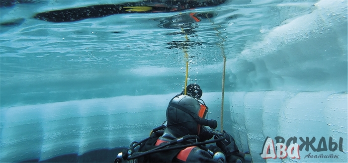 Festival of underwater professions “Immersion in the Arctic” - Longpost, Diver, Diver, Scuba diving, , 