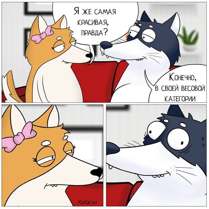     , , ,  