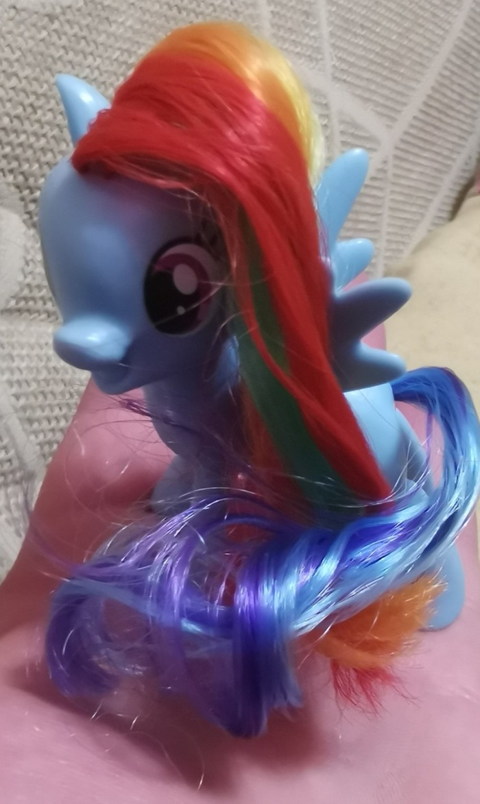    , Rainbow Dash,  , , My Little Pony