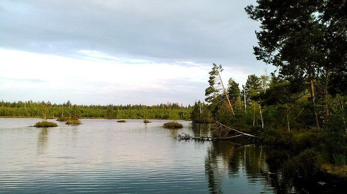 A trip that changed lives. Part two, thunderstorm. - My, Longpost, Forest, Hike, Новичок, Real life story, Reflections, Thoughts