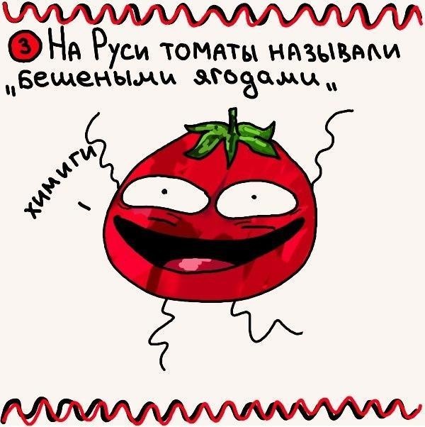 Facts about food in pictures - Comics, Humor, Food, Facts, Longpost