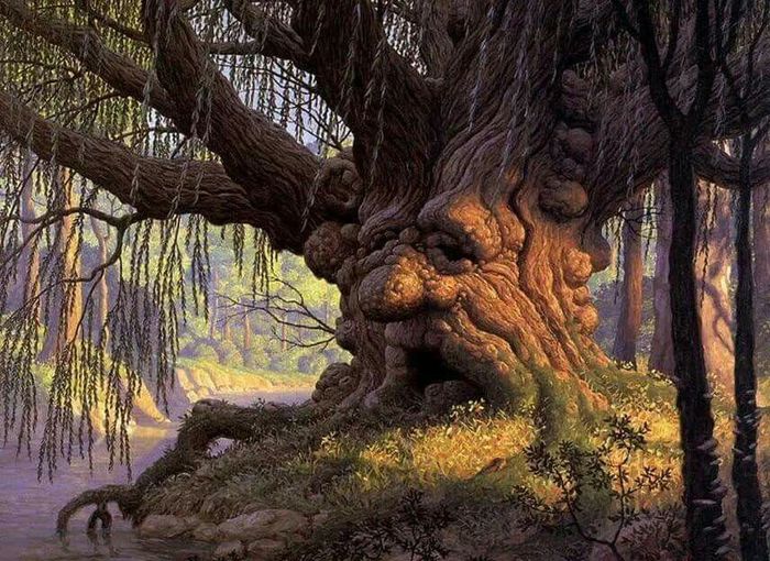 The oldest trees on earth - Tree, Longpost, Forest, Age, Long-liver