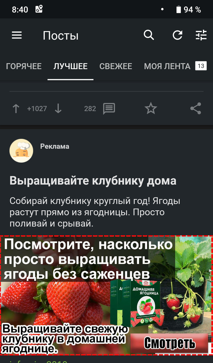 Клубника: истории из жизни, советы, новости, юмор и картинки — Все посты |  Пикабу