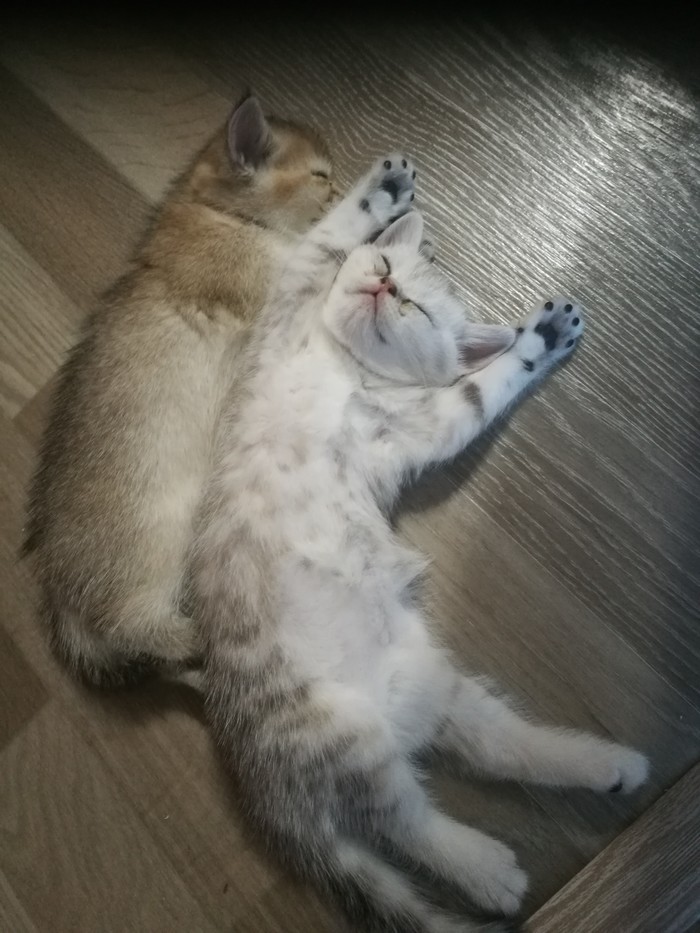   , , , , ,  