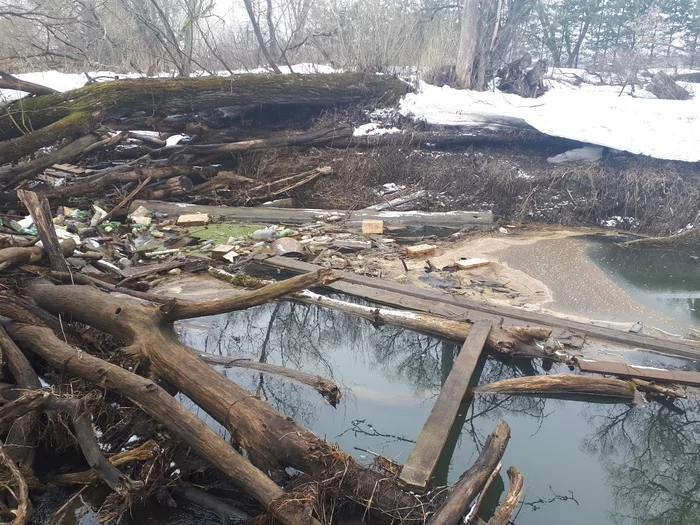 river cleaning - My, Garbage, Istra River, Longpost