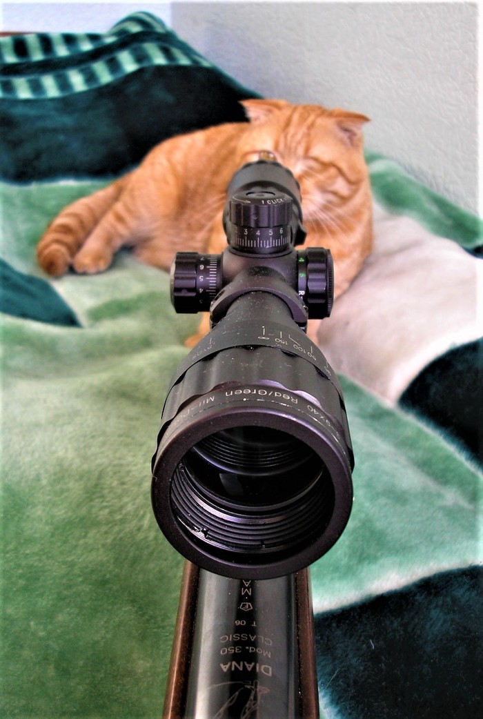 ���� �� ��������: ������� �, �������, ������ ���� ����� �������! � ��� ������������� ��������������: ���� � ��� � � ������ ����!...�