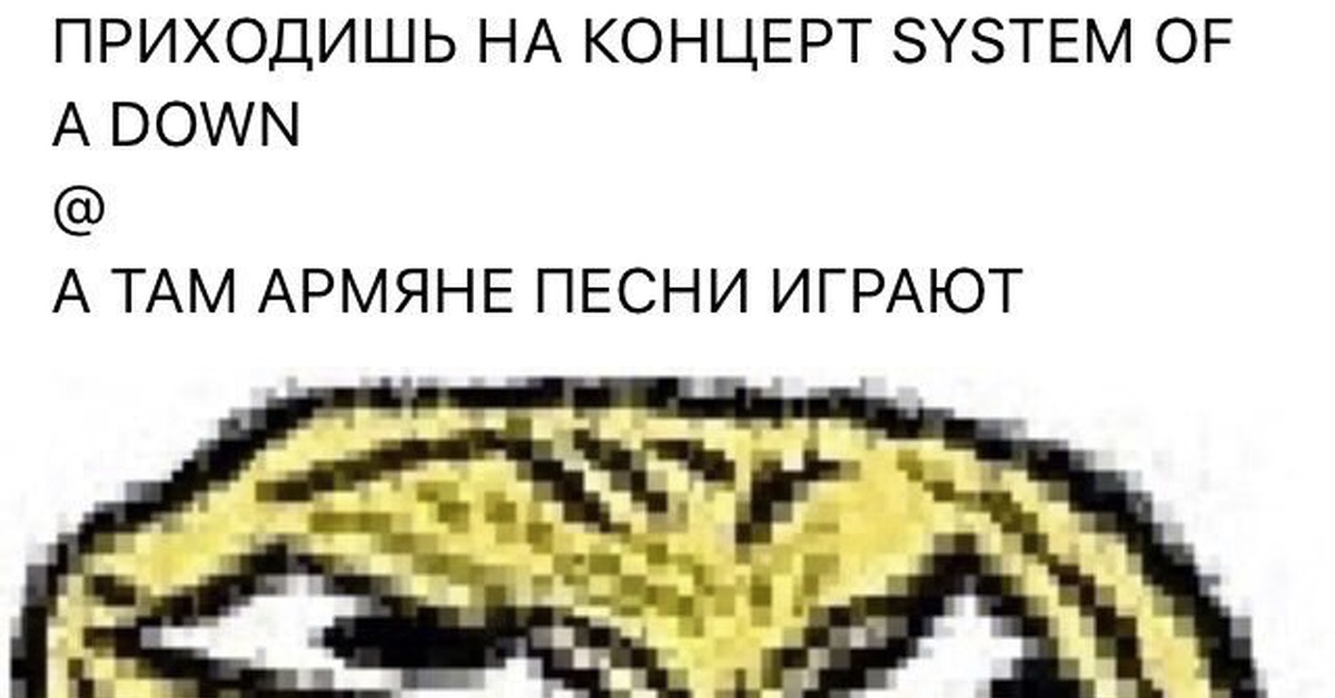 Приходи на концерт. System of a down армяне мемы. System of a down мы армяне Мем. Приходишь на концерт а там армяне. Прихожу на концерт System of a down а там армяне играют.