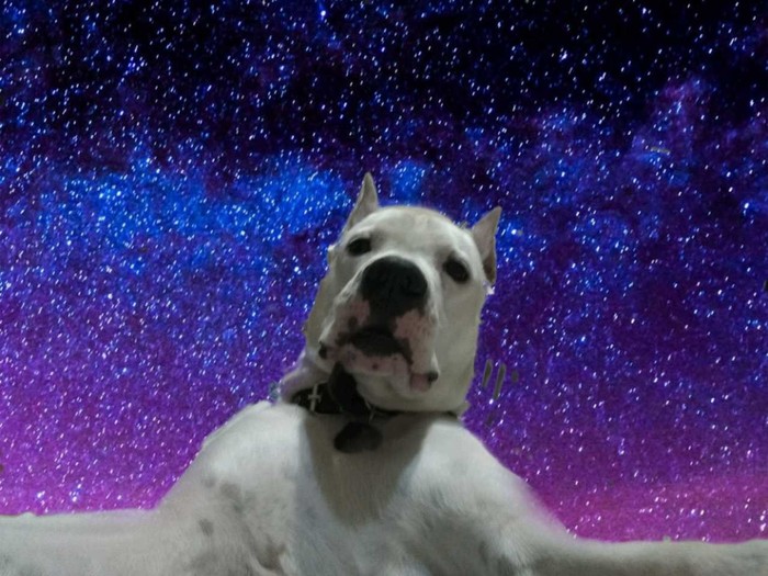 ������ ������ ������ ���������