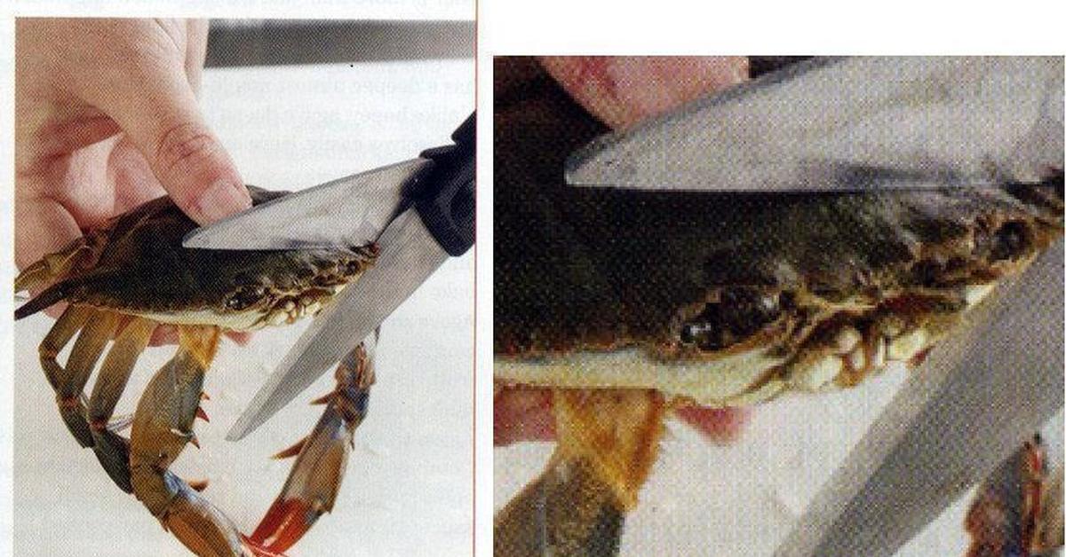 мои предки улыбаются глядя на меня имперцы а ваши. мои предки улыбаются глядя. мои предки улыбаются глядя на меня имперцы. мои предки улыбаются. мои предки улыбаются глядя на меня скайрим.