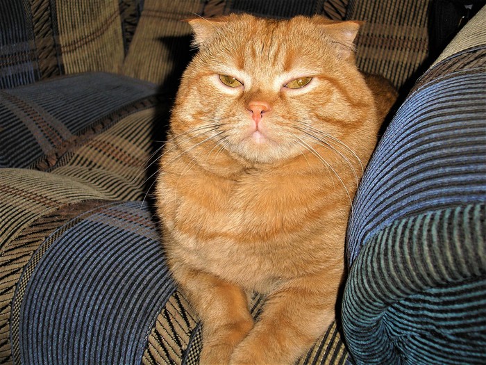 ... ��� ���� ���� ���� �������� �