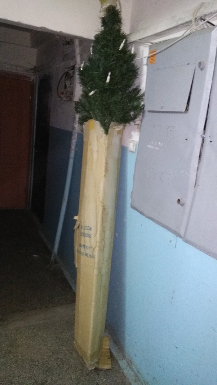 Another weakling gave up. - My, Christmas tree, Entrance, Garbage, Neighbours