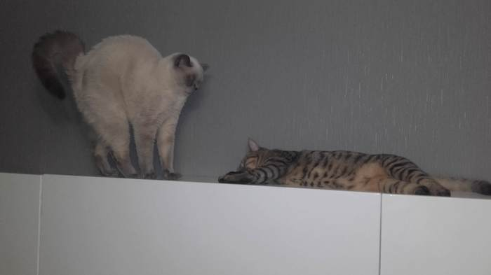 ��� �� ���-���